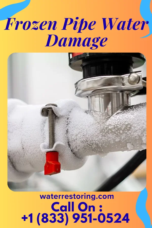 Frozen Pipe Water Damage in Pena, TX